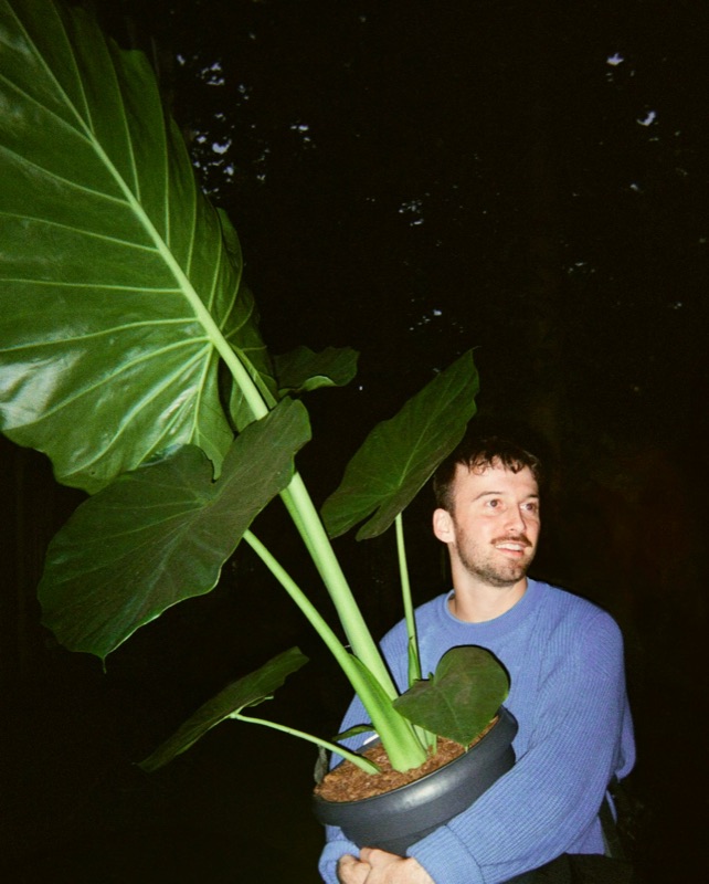 Hector de nuit, une grande plante en pot dans les bras